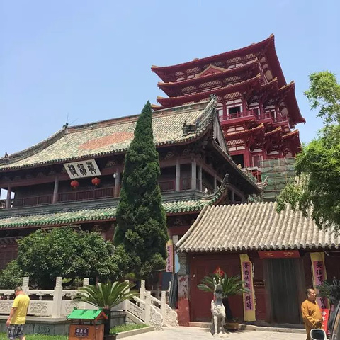 这个应该是住院居士所养的灵鸟这块木鱼见证了寺庙的历史我喜欢这一片