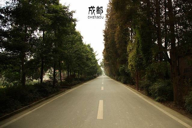 鹿野苑石刻艺术博物馆