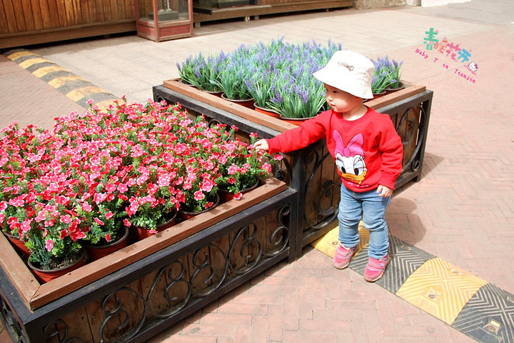 2017第一站,意大利风情区。天津站里,换地铁._