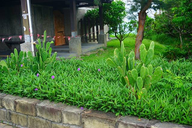 水往上流游憩区