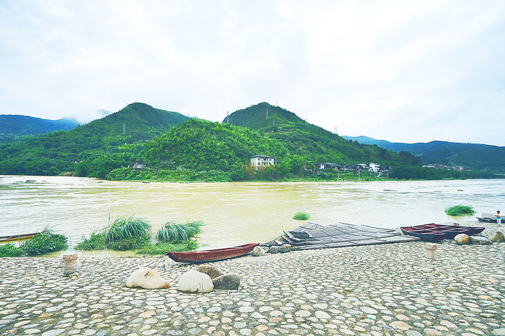 "榕树是福州市树，四季常青、枝荣叶茂、雄伟挺拔、生机盎然，象征着福州城市精神风貌_嵩口镇"的评论图片