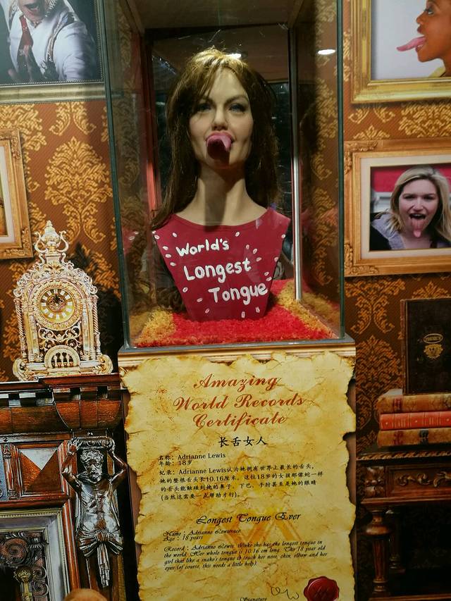 信不信由你博物馆