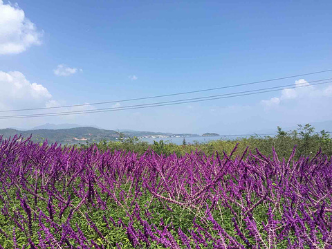 抚仙湖景区旅游景点攻略图