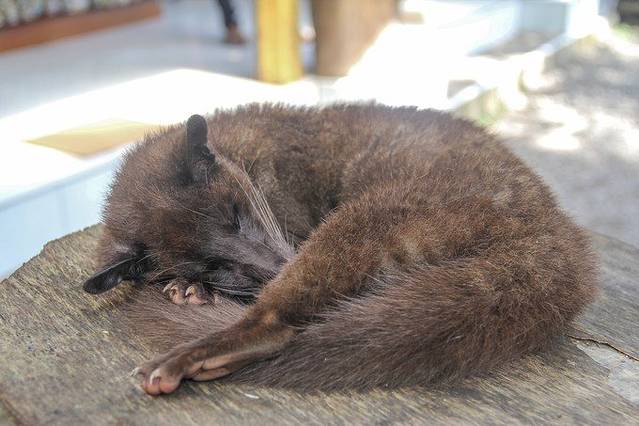 在南纬8度谈一场不分手的恋爱