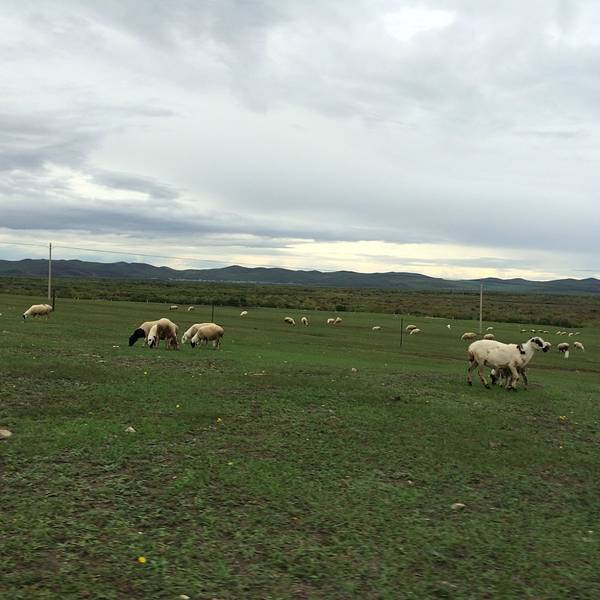 黑山头 旅游攻略