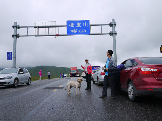 2017从黑马河到茶卡盐湖要翻海拔3817米的橡