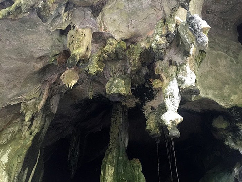 红树林旅游景点攻略图