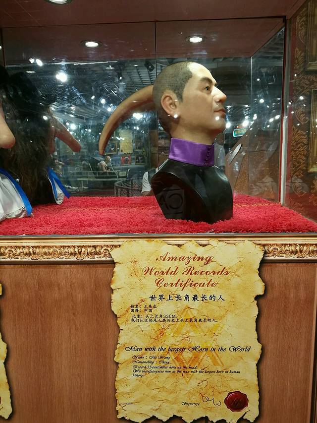 信不信由你博物馆