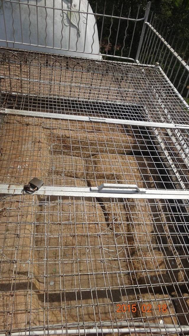 伊苏鲁姆尼亚石庙