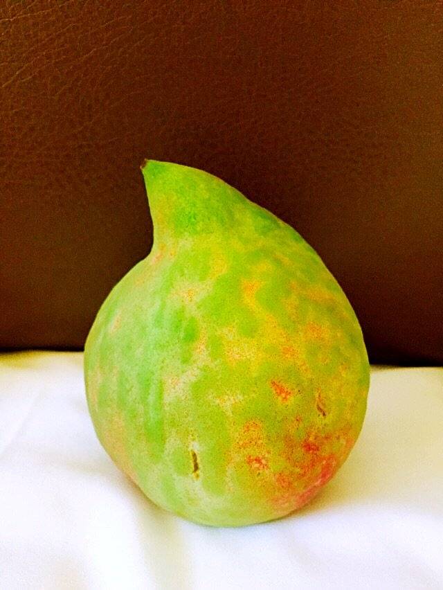 福华园(岔街店)