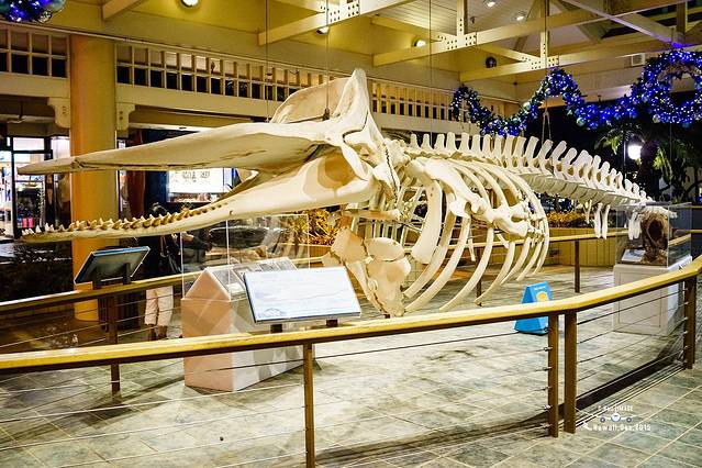 卡阿纳帕利海滩