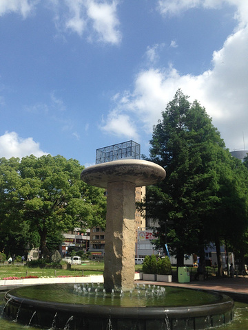 2017周游券没有儿童票,所以儿童我是单次购买