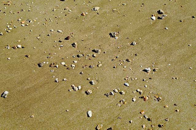 浅水湾海滨公园