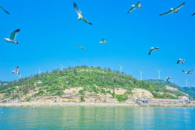 万鸟岛景区