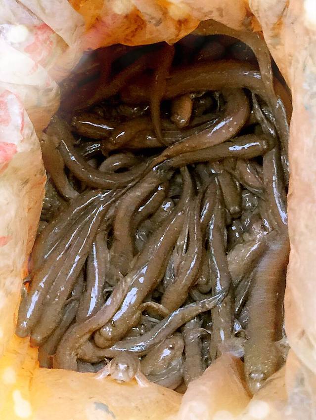 福州市闽江河口国家湿地公园