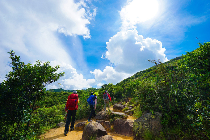 香港徒步行，凤凰径、港岛径