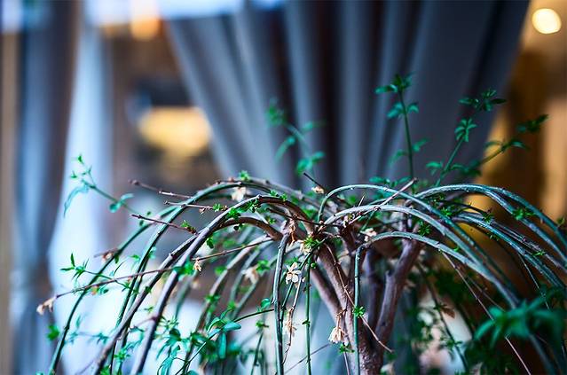 一縷炊煙(南长街店)