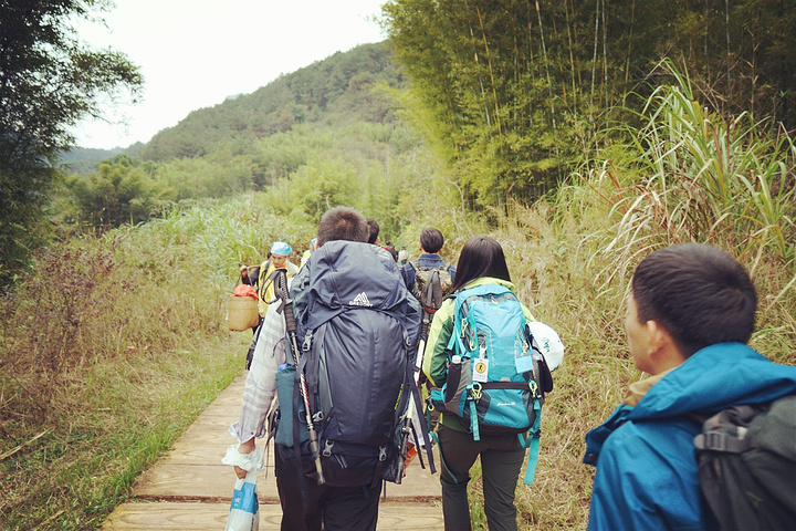 "主要是砾岩和砂岩)。受垂直或高角度解理切割，并在差异风化、重力崩塌、流水溶蚀、风力侵蚀等综合作..._巴寨"的评论图片