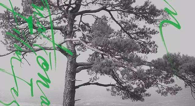 韩国电影工作之旅 + 仁川机场交通攻略