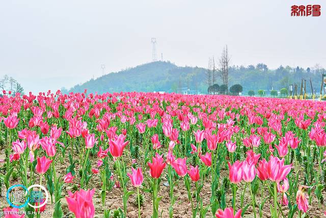 百年好合爱情谷