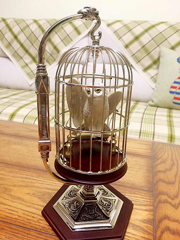 前年从英国买回来一套魔法杖和金色飞贼还有海德薇.