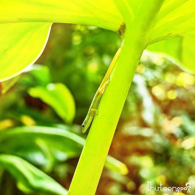 波罗陆山谷观景点