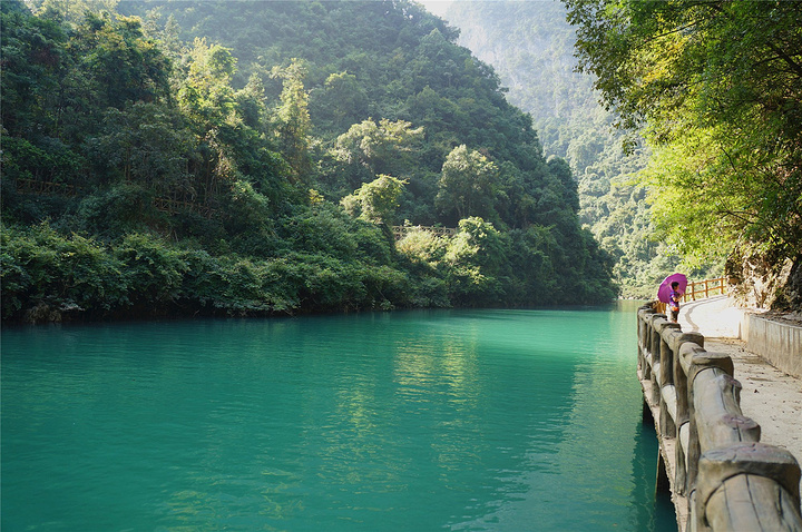 来回40块,只有很短一段距离,在河边走走不是也很好吗_荔波大七孔景区&