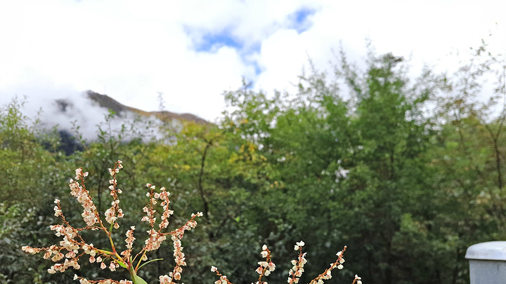 2017 鲁朗的风景很多被用作了壁纸,秋季层林尽