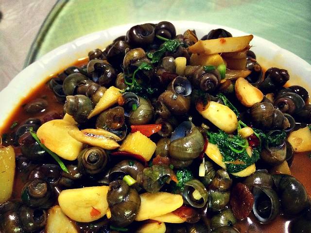 听秋晚唱不可期,快然奔向常州去