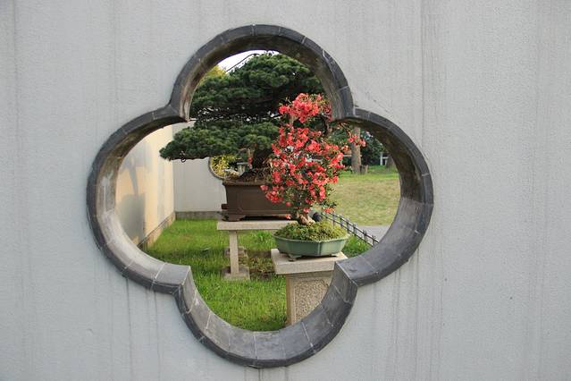 扬州大运河文化旅游度假区·盆景园