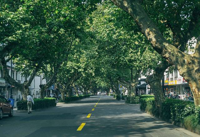 红砖黛瓦 潺流涓溪,请让我走近你