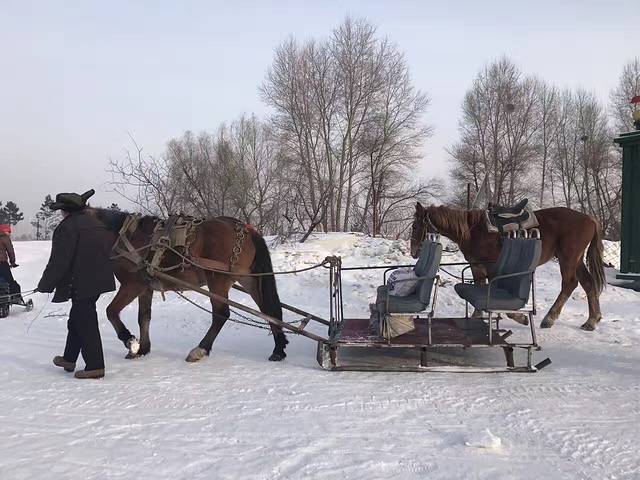 艾思沃德冰雪欢乐岛