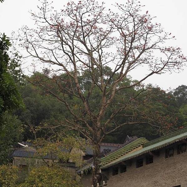 2019隐贤山庄门票,东莞隐贤山庄游玩攻略,隐贤