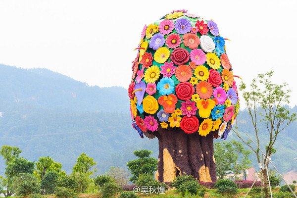 贵安花海拓展公园