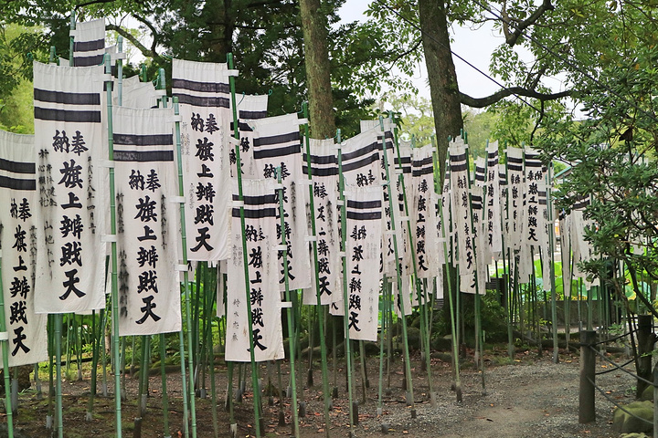 镰仓幕府时代的第三位将军;北条政子的小儿子.