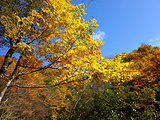 光雾山旅游景点攻略图片