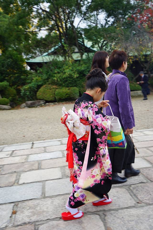 追逐关西枫叶,只为那一抹红。