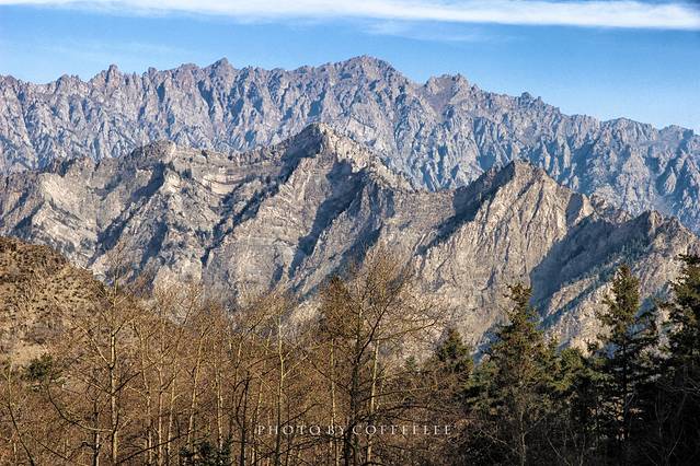 宁夏贺兰山国家森林公园