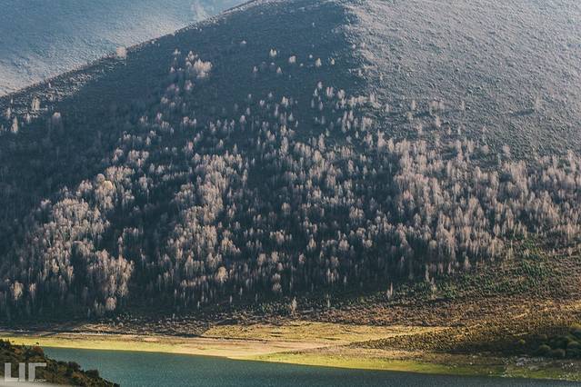 察汗河森林公园