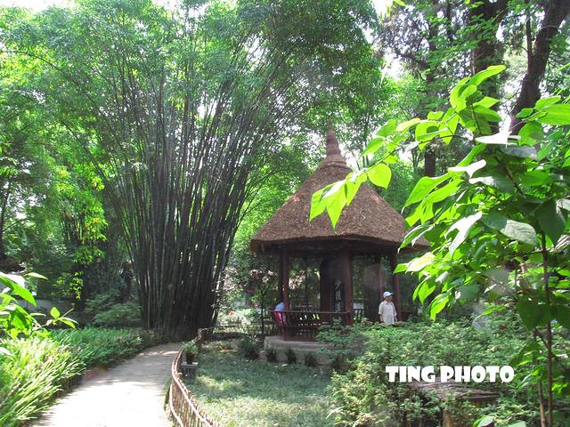 【成都、重庆】生活不止眼前的苟且,还有吃不