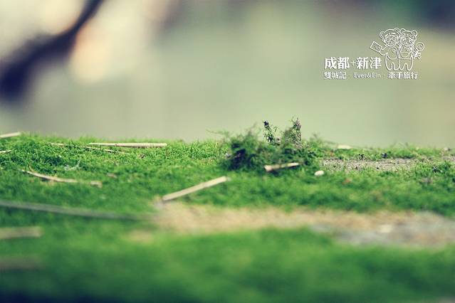 斑竹林景区