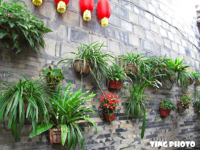 不推荐一家书院门外的小景拍照还蛮好看的妈呀这图我不敢看看一眼就能