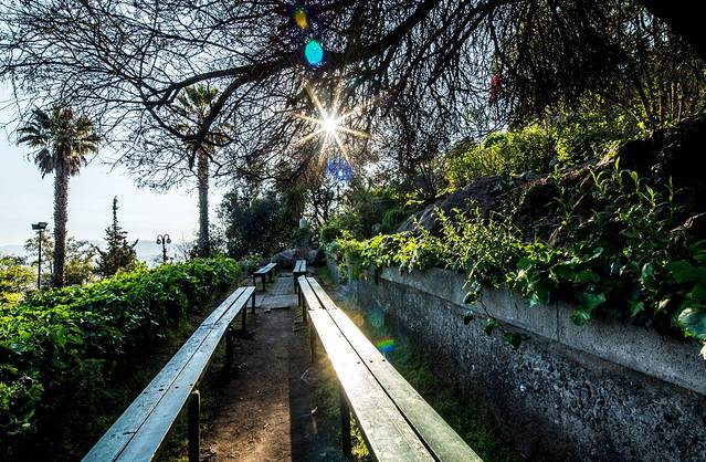 Parque Metropolitano