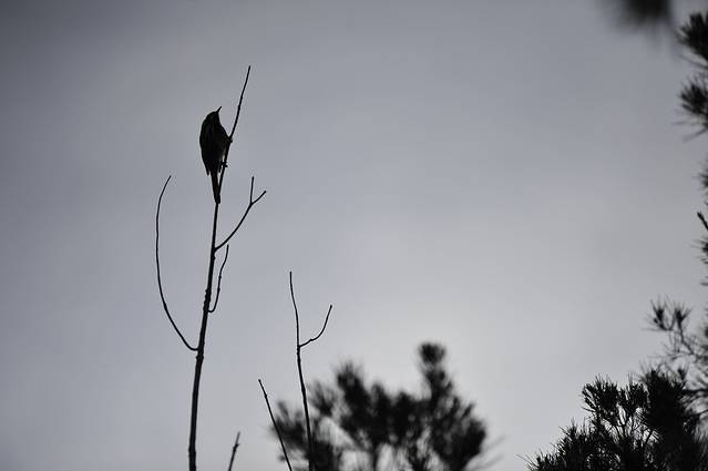 菲欣纳国家公园