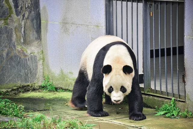 蜂桶寨邓池沟景区