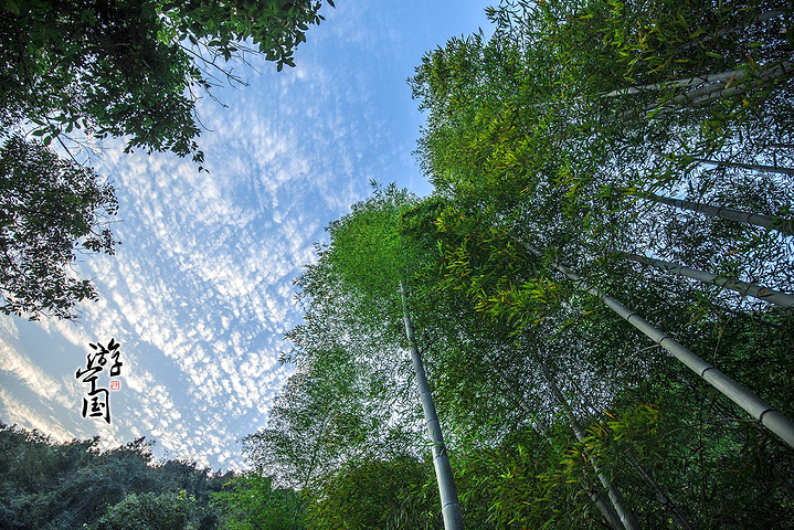 "华东大裂谷风景区的景观数量众多，大小景观23处，“双狮守门”、“水帘洞”、“滴水洞”、“百丈崖..._华东大裂谷"的评论图片