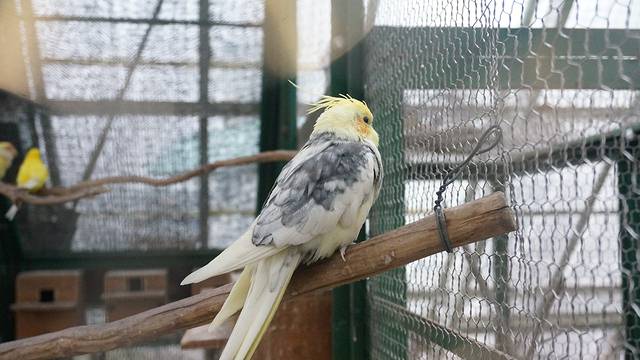 函馆市热带植物园