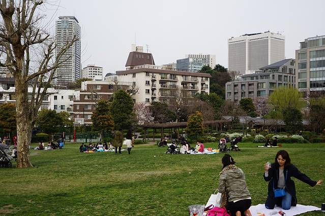 在这樱花纷飞的季节~