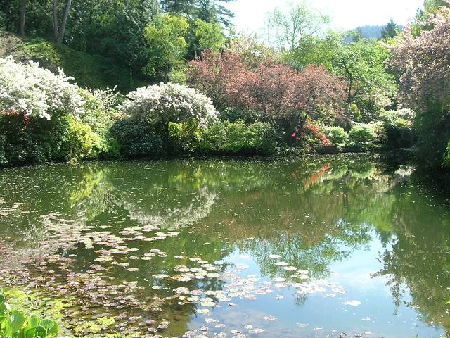 加拿大东、西部的火车游