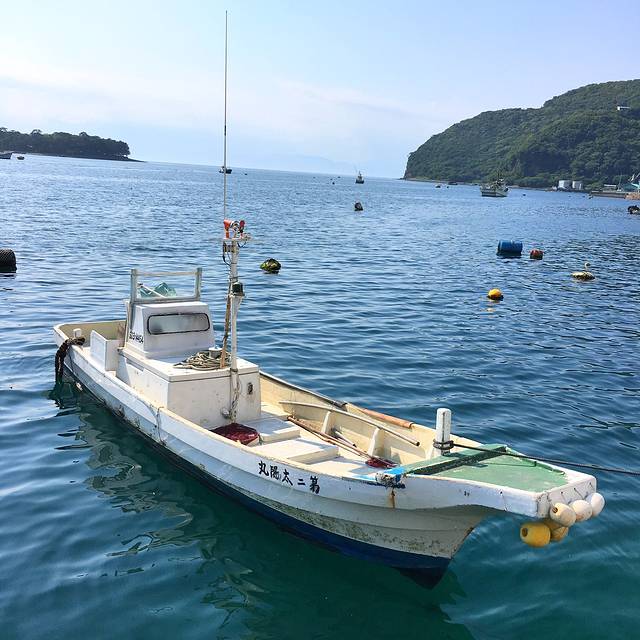 霓虹国の本州横贯线:大阪-奈良-京都-静冈-伊豆